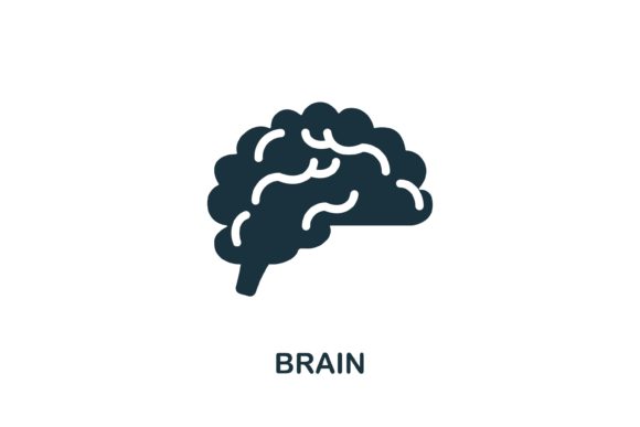 Brain Icon: A Versatile Design Element for Modern Web and Infographic Projects