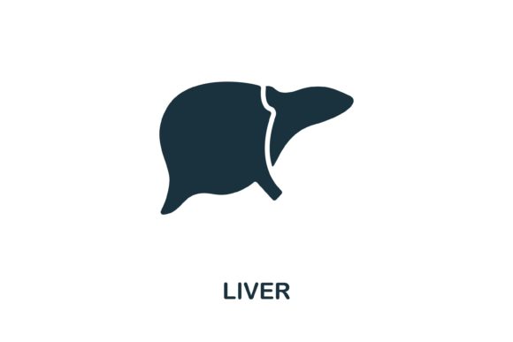 Liver Icon: A Practical Tool for Visual Clarity in Web Design and Infographics